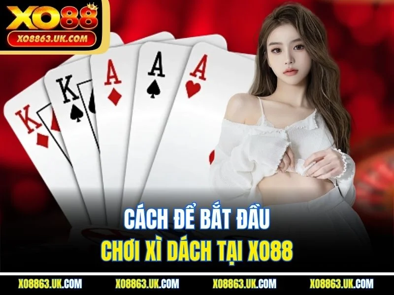 Cách để bắt đầu chơi xì dách tại XO88