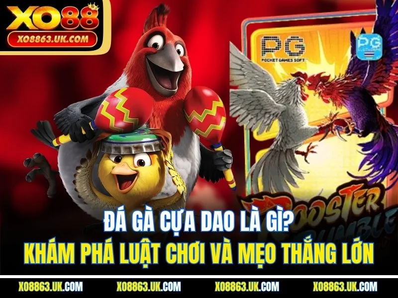 Đá Gà Cựa Dao Là Gì? Khám Phá Luật Chơi Và Mẹo Thắng Lớn