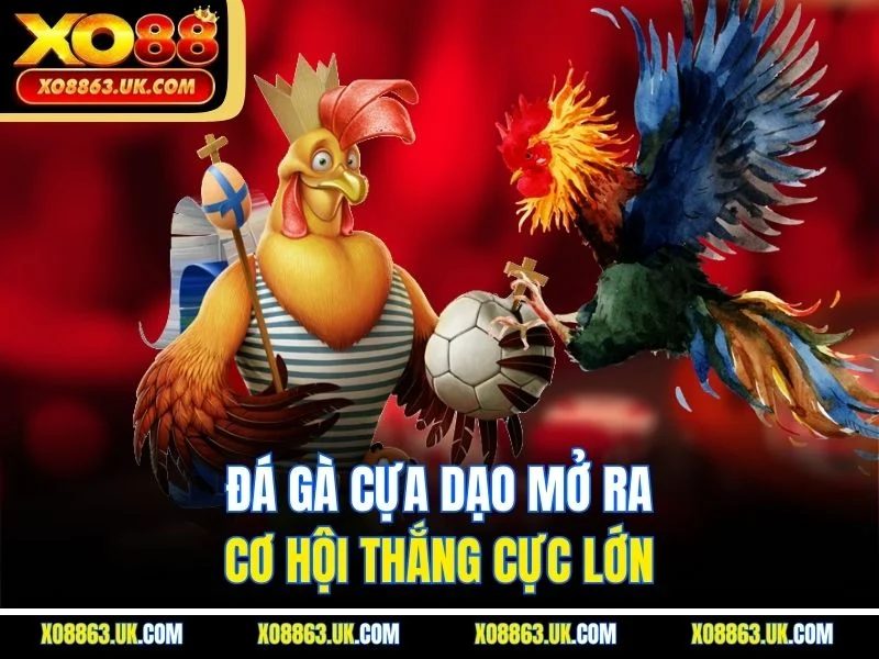 Đá gà cựa dạo mở ra cơ hội thắng cực lớn