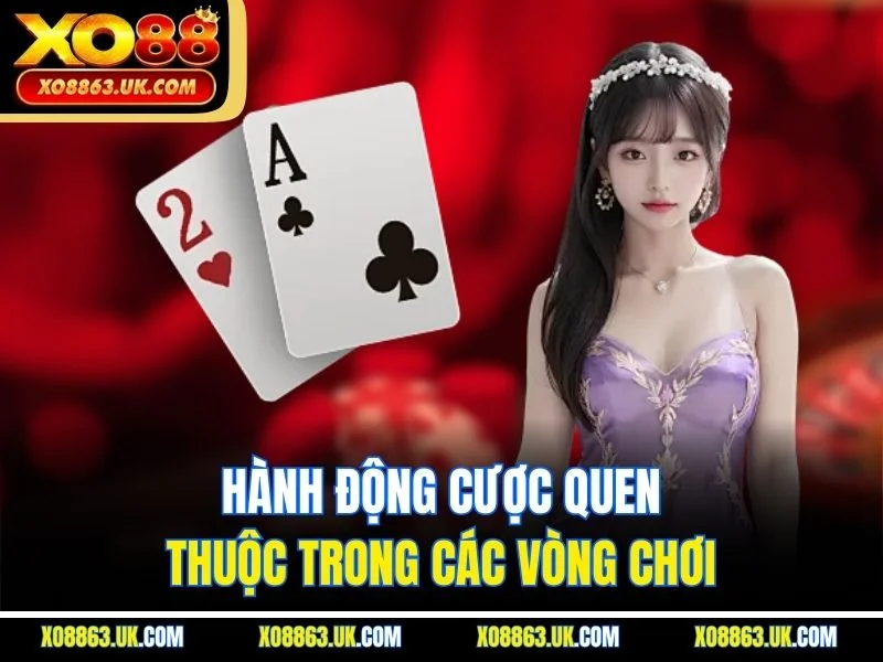 Hành động cược quen thuộc trong các vòng chơi