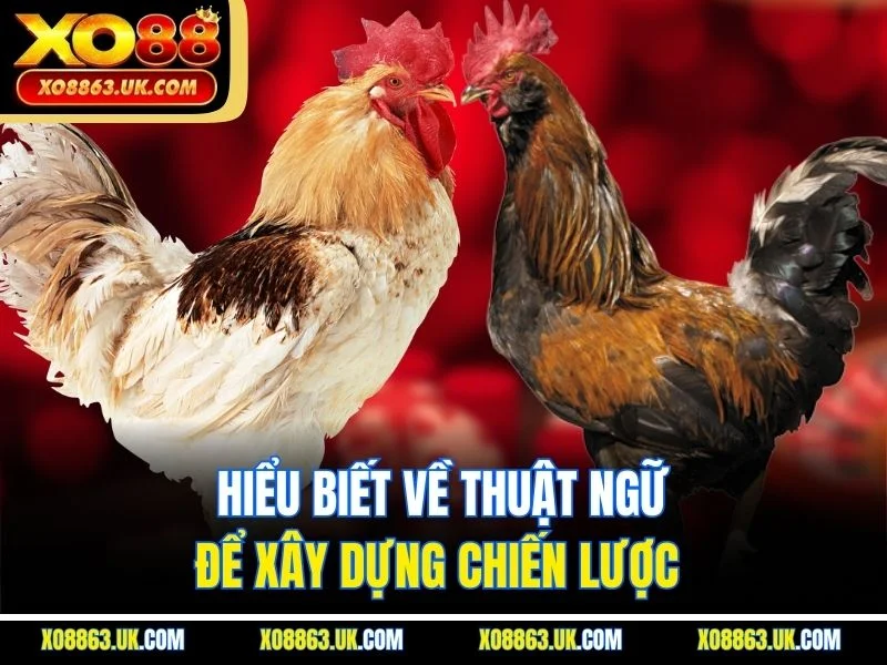 Hiểu biết về thuật ngữ để xây dựng chiến lược 