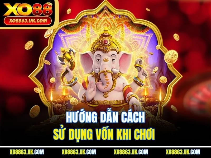 Hướng dẫn cách sử dụng vốn khi chơi 