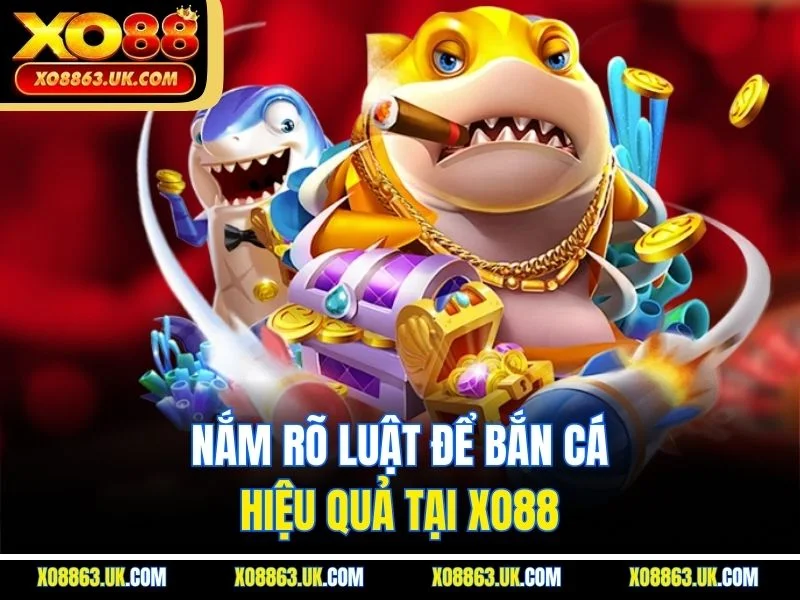 Nắm rõ luật để bắn cá hiệu quả tại XO88