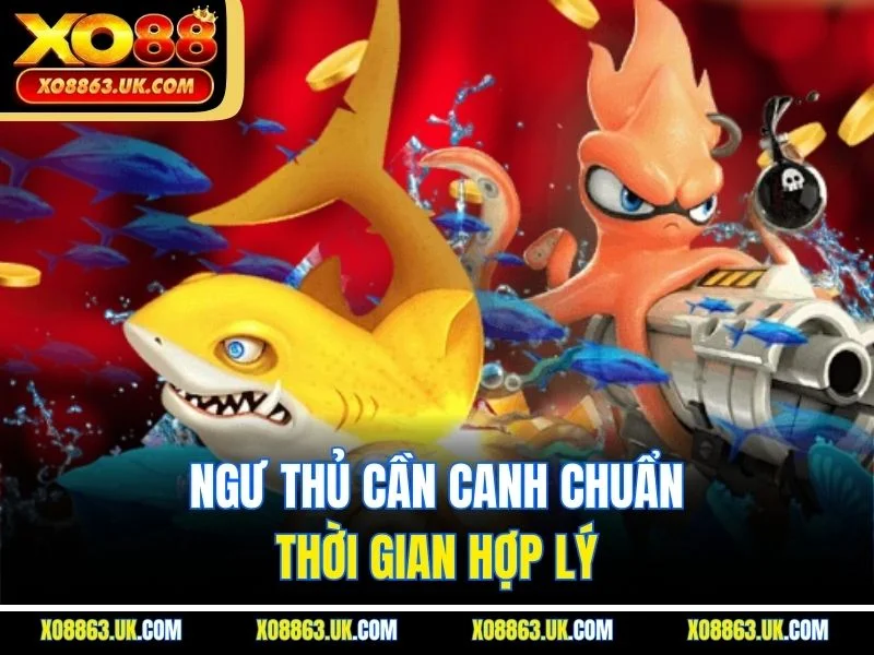 Ngư thủ cần canh chuẩn thời gian hợp lý
