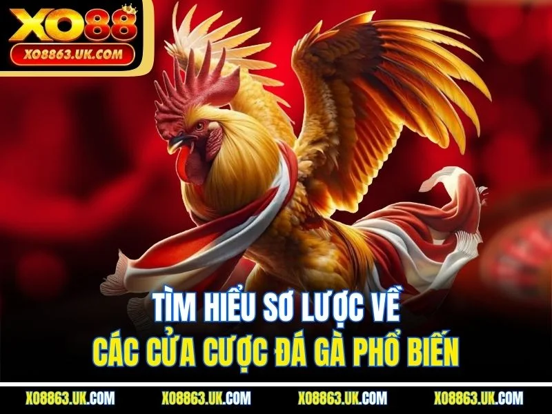 Tìm hiểu sơ lược về các cửa cược đá gà phổ biến